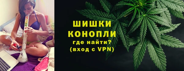 сатива Карталы