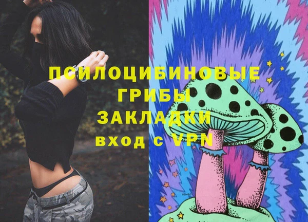 СК Алексеевка